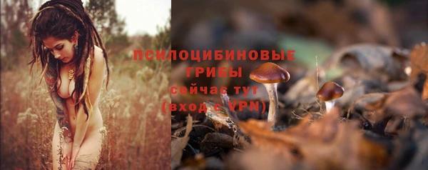 гашик Бронницы