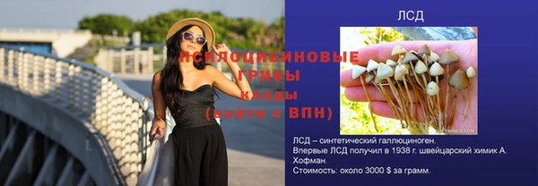 марки nbome Бородино