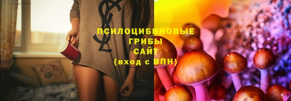 марки nbome Бородино