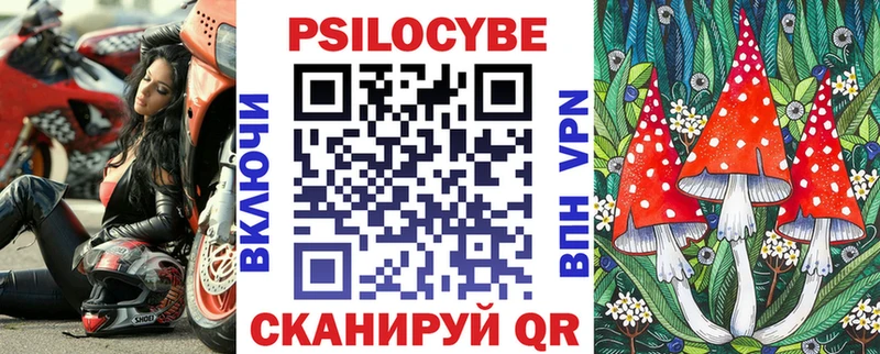 Галлюциногенные грибы Psilocybe  Жуковка 